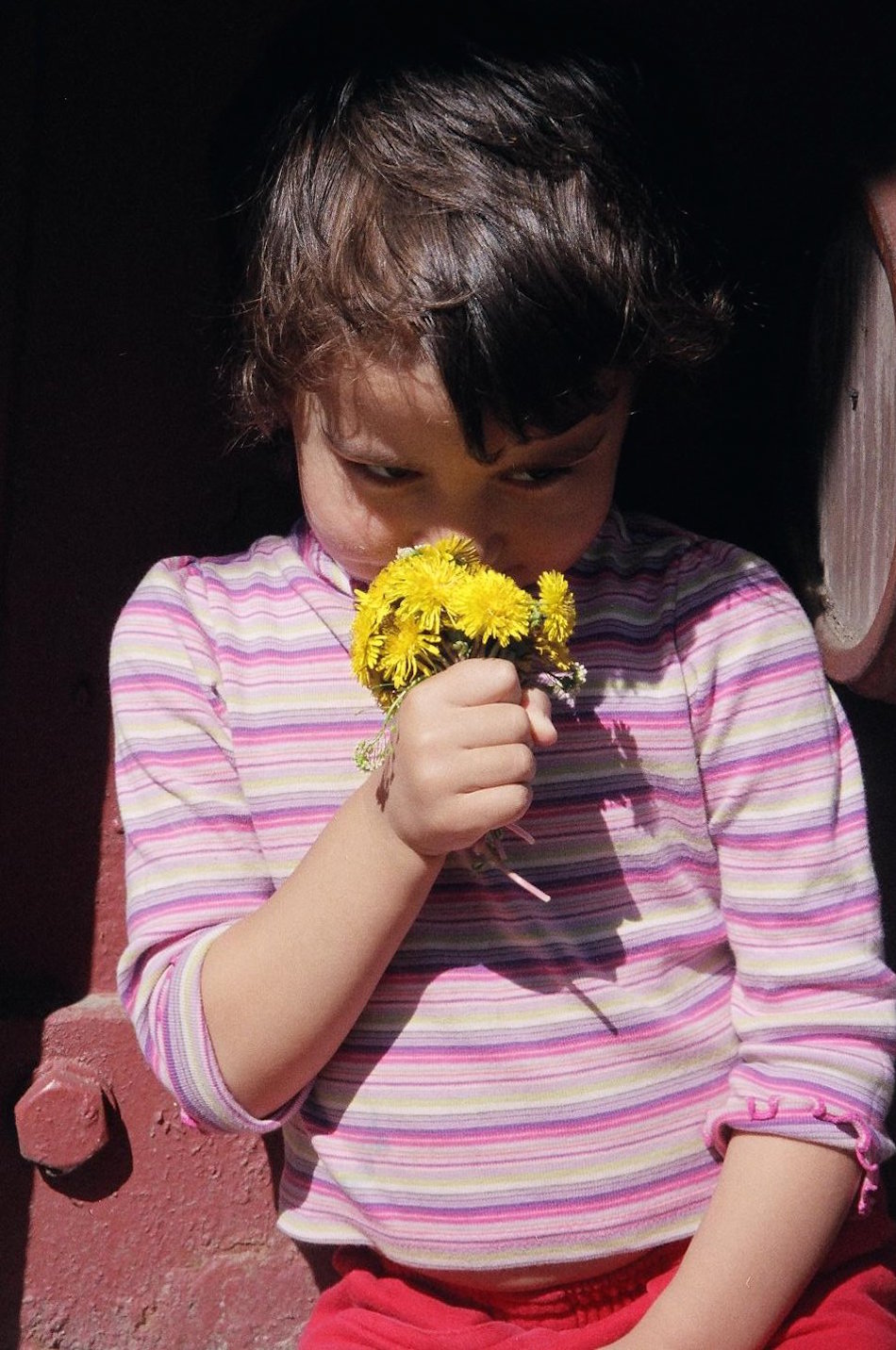 grandma-memory-pickign-dandelions.jpg