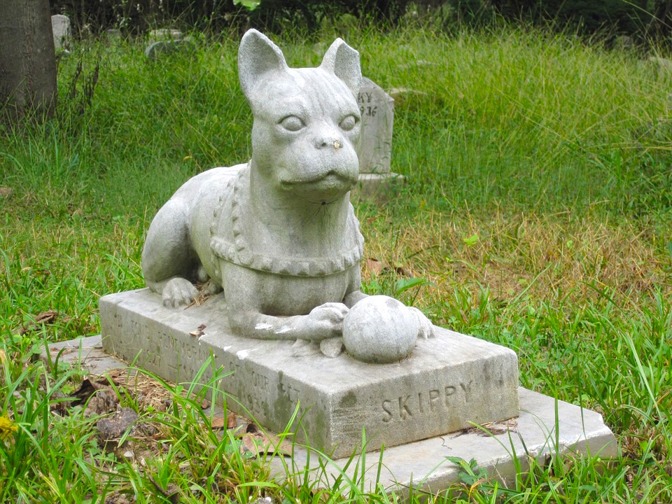 Pet Cemetery Death Grave Graveyard Tombstone