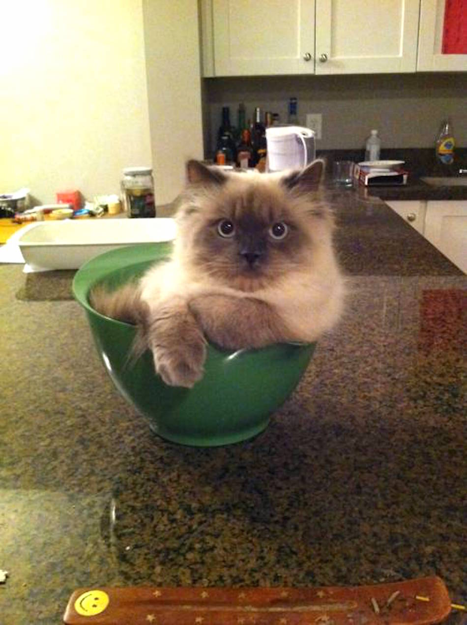 green-bowl.jpg