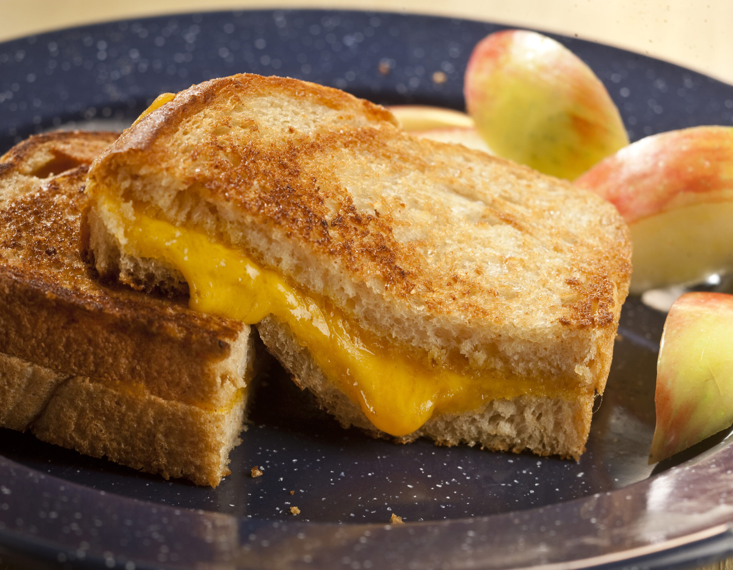 GRILLED CHEESE SANDWICH