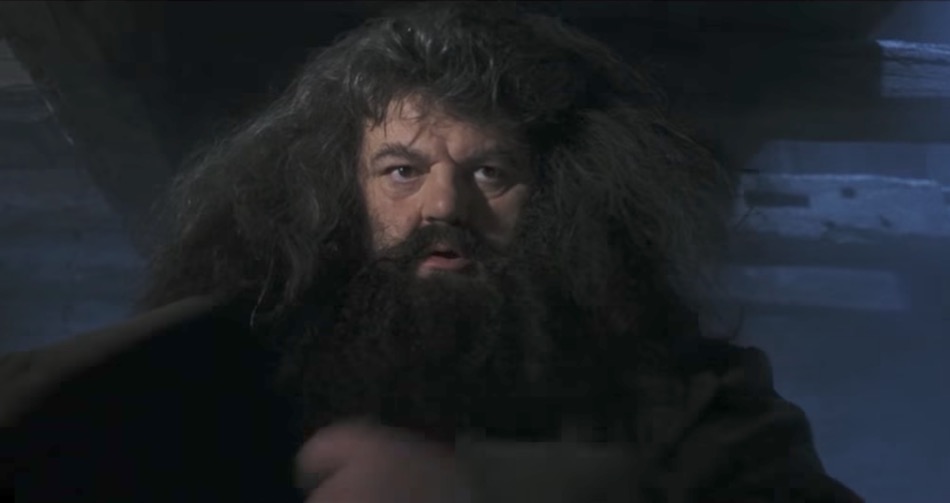 hagrid.jpg