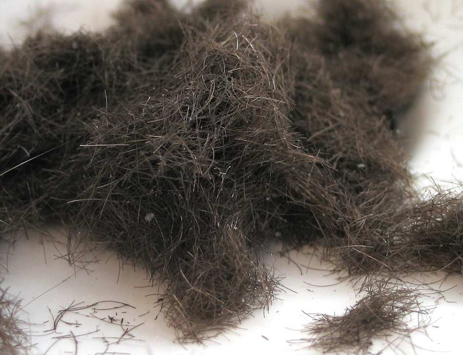 hair4.jpg