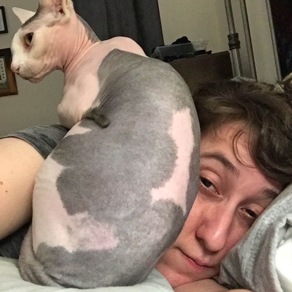 hairless.jpg