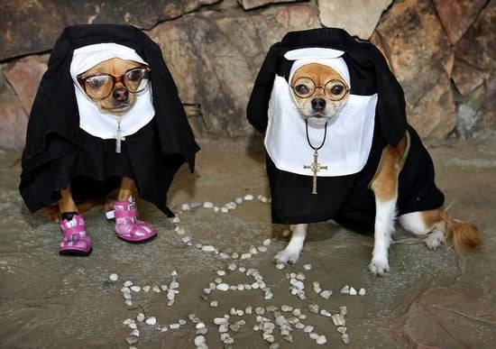 halloween-2010.jpg
