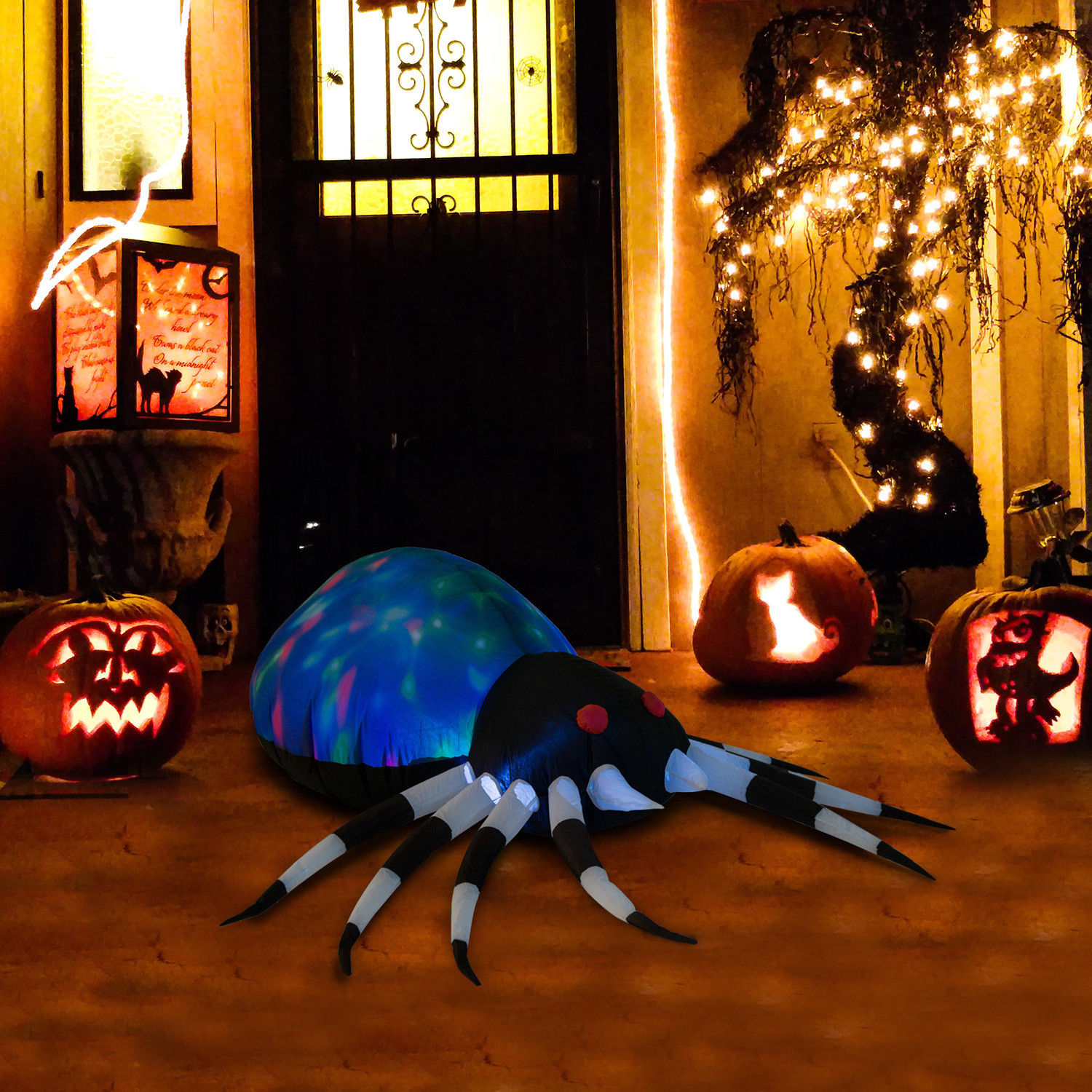 halloween-spider.jpeg