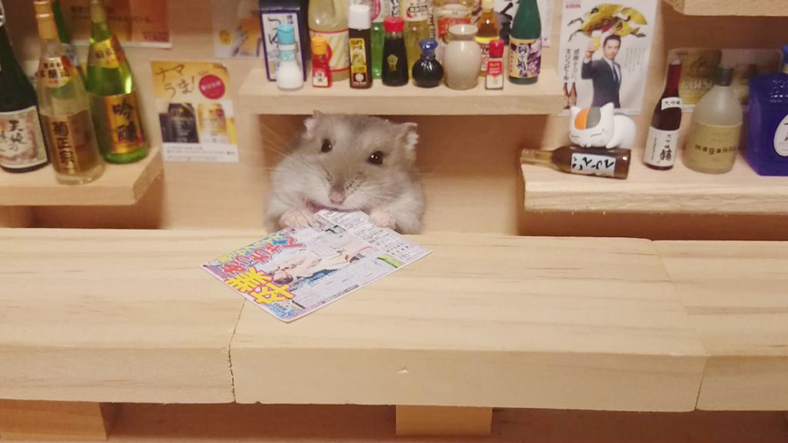 hamster-bartender-miniature-bar-kawanabesatou-12.jpg