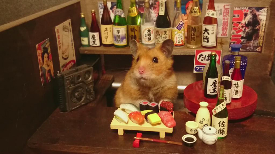 hamster-bartender-miniature-bar-kawanabesatou-13.jpg