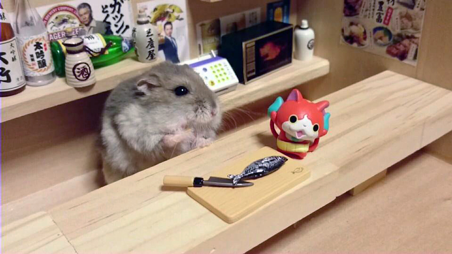 hamster-bartender-miniature-bar-kawanabesatou-19.jpg