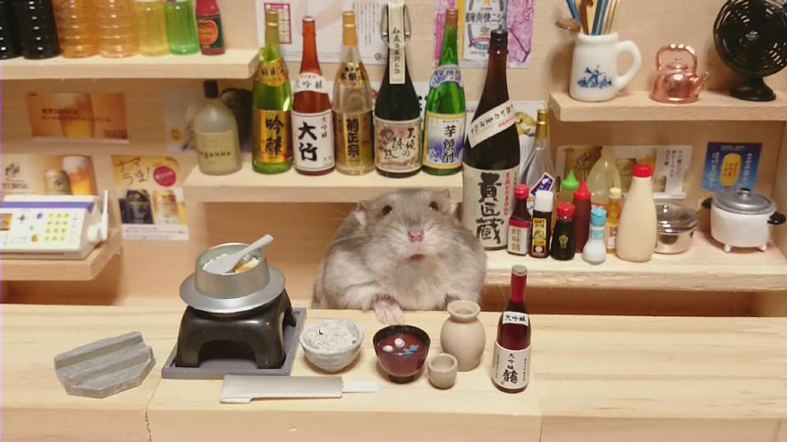 hamster-bartender-miniature-bar-kawanabesatou-21.jpg