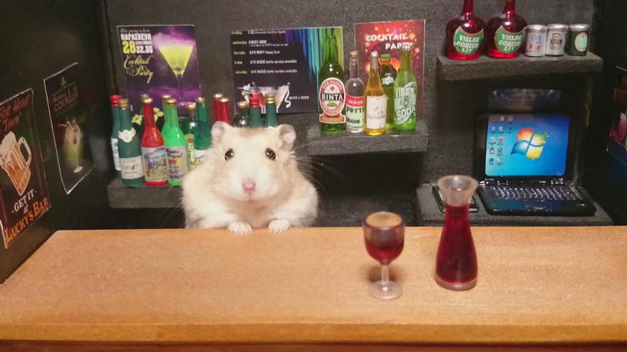 hamster-bartender-miniature-bar-kawanabesatou-22.jpg