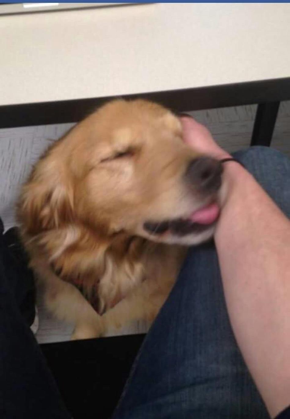 happy-4.jpg