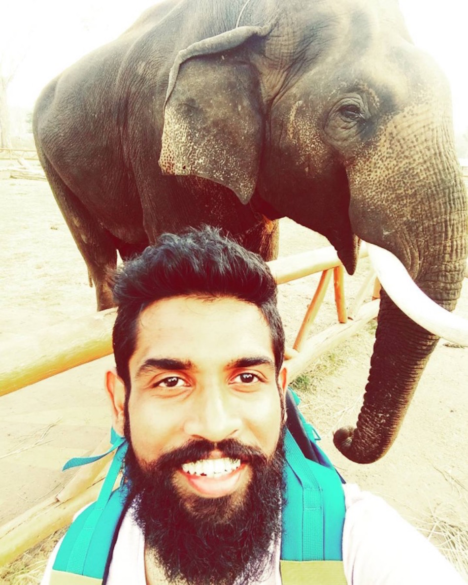happy-elephant.jpg
