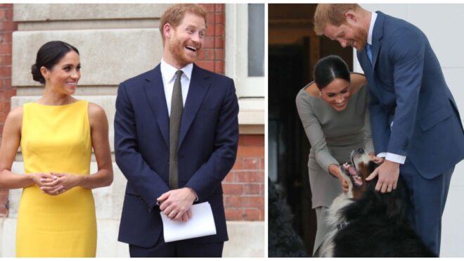 prince-harry-meghan-dog