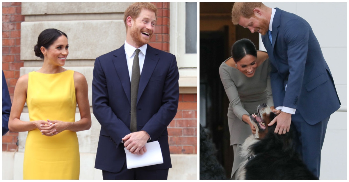 prince-harry-meghan-dog