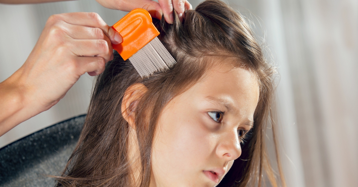 head-lice