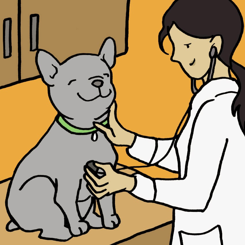 health-benefits-of-broccoli-for-dogs.jpg health-benefits-of-broccoli-for-dogs.jpg