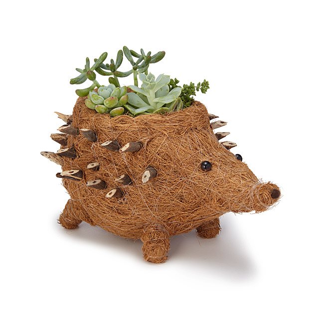 hedghog-planter.jpg