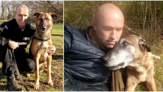 hero police dog dies