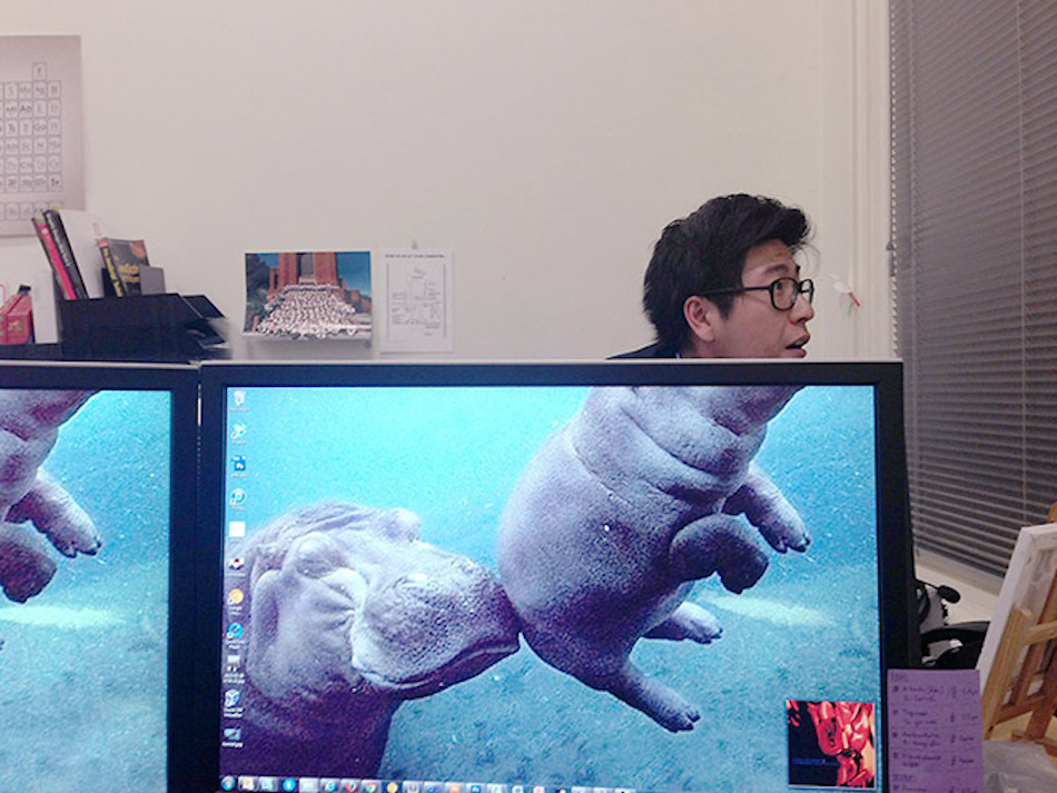 hippo-baby.jpg