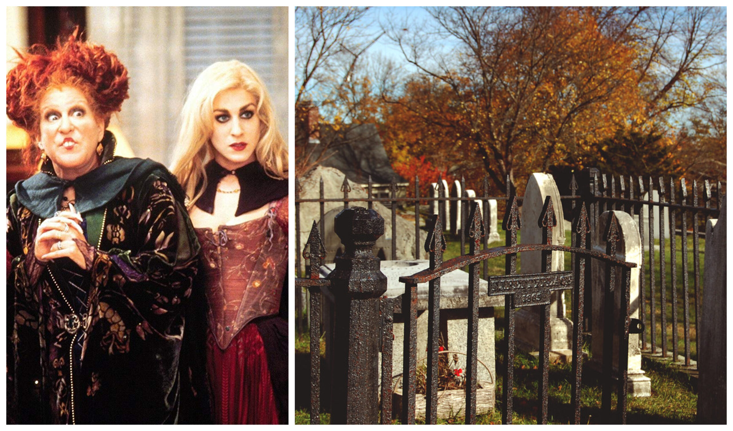hocus-pocus-collage.jpg