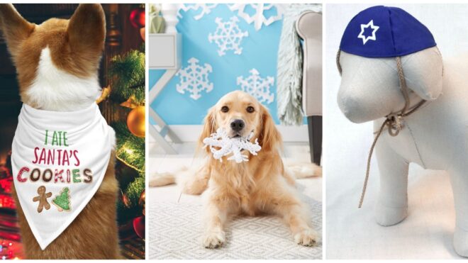 gifts-for-your-pup