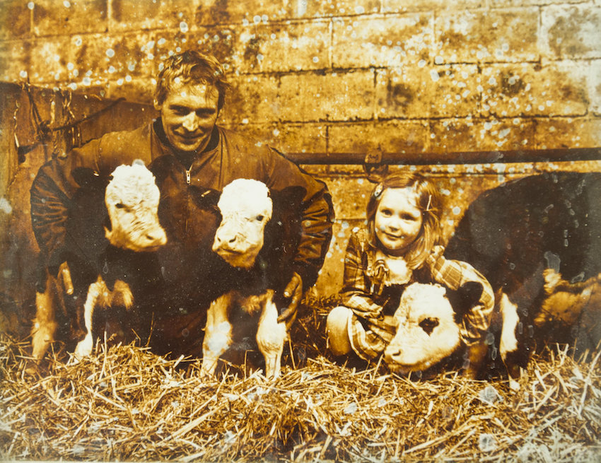 holy-cow-farmer-64940.jpg