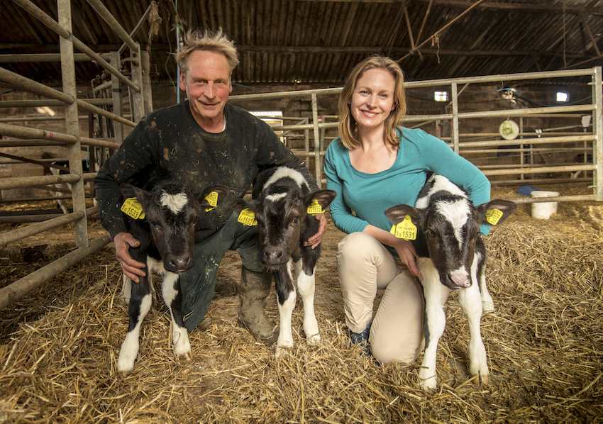 holy-cow-farmer-64941.jpg
