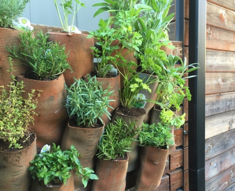 home-garden-13.jpg