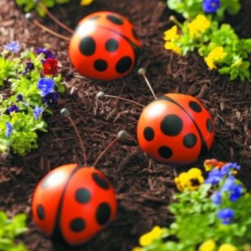 home-garden-6.jpg