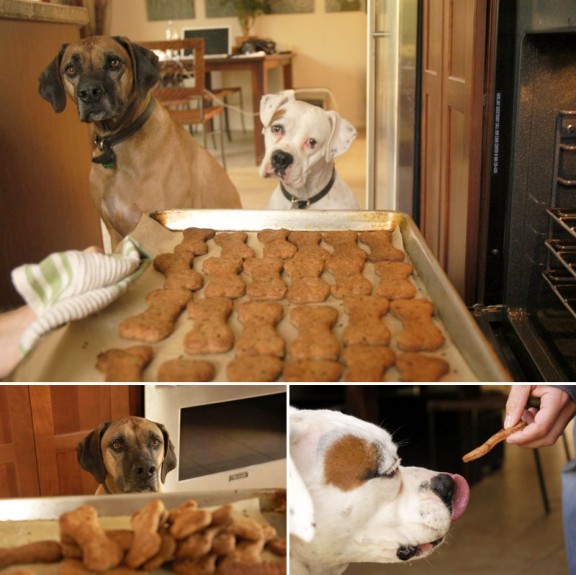 homemade-dog-biscuit-recipes-2-576x575-1.jpg