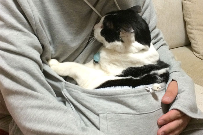 hoodie-cat-pouch-pocket-sweatshirt-mewgaroo-2.jpg