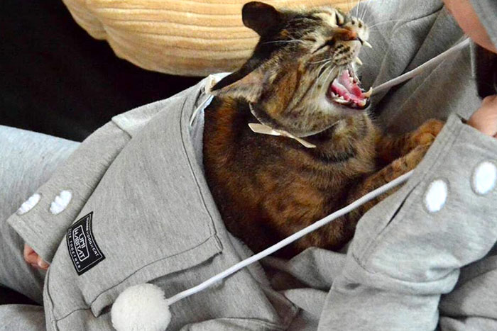 hoodie-cat-pouch-pocket-sweatshirt-mewgaroo-6.jpg
