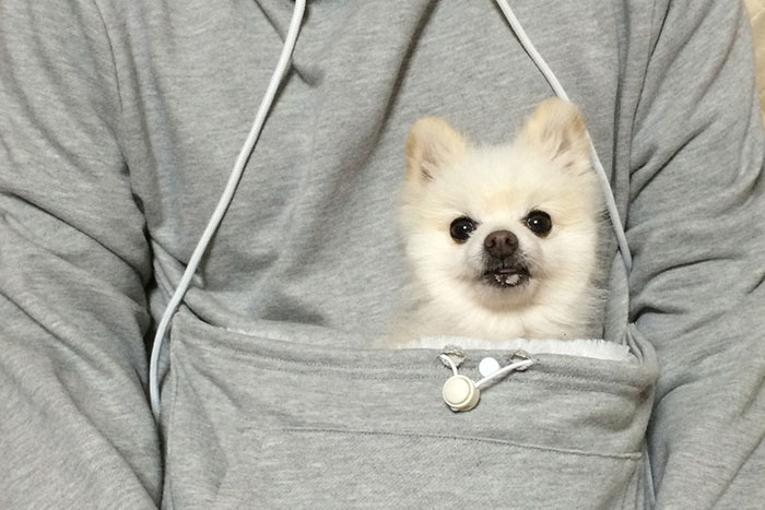 hoodie-cat-pouch-pocket-sweatshirt-mewgaroo-9.jpg