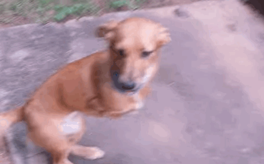 hope.gif