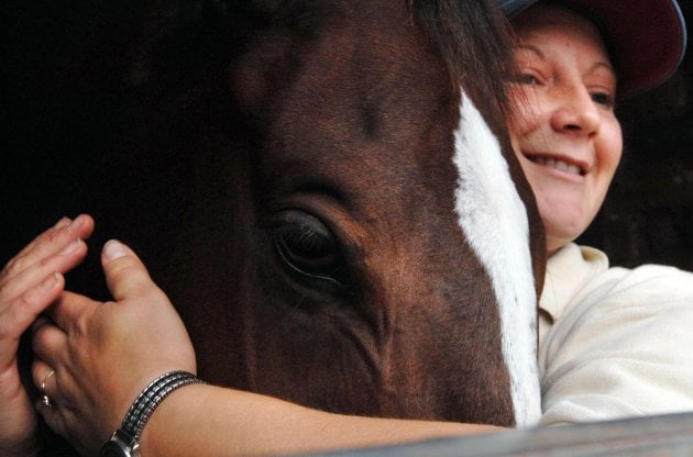 horse-racing-visit-to-paul-nicholls-stables-manor-farm-stables-630x416-1.jpg