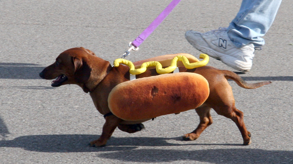 hotdog-3.jpg