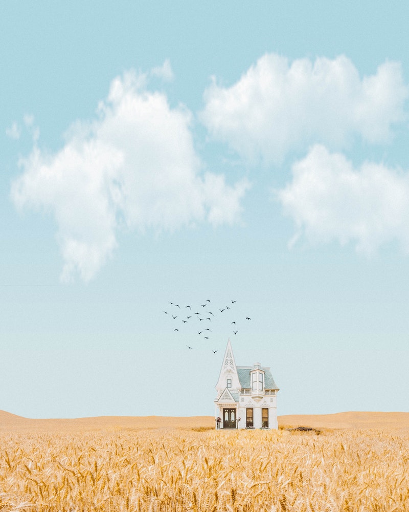 house-in-the-middle-of-crop-field-3330118.jpg