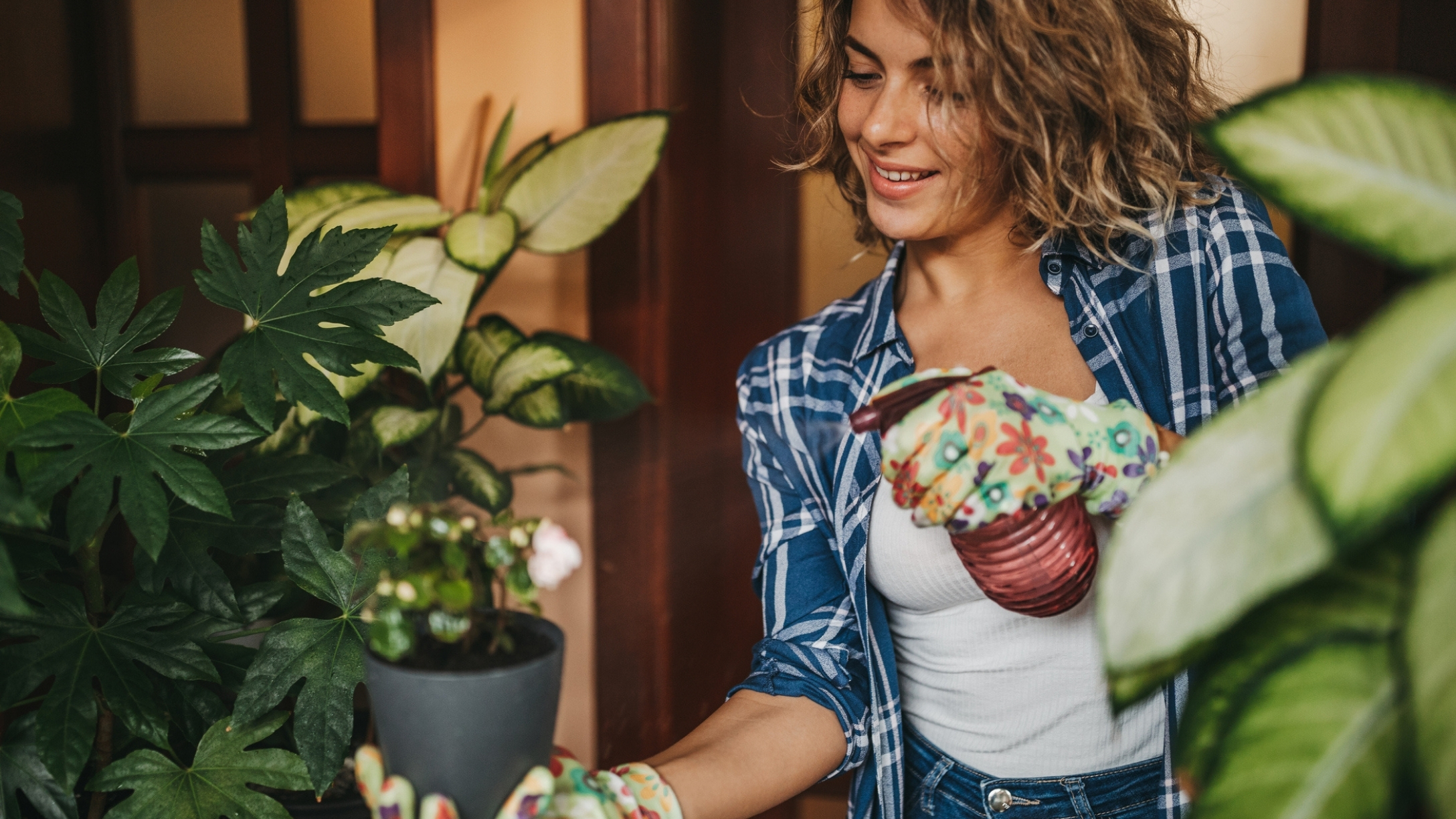 houseplants-spring