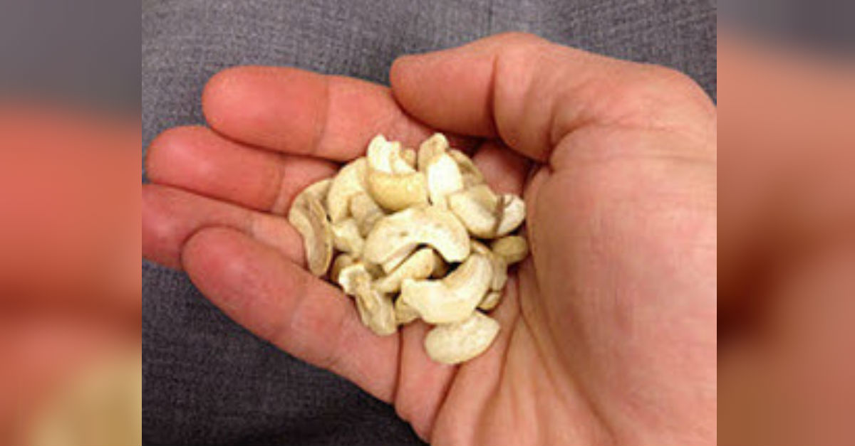 how-are-cashews-grown