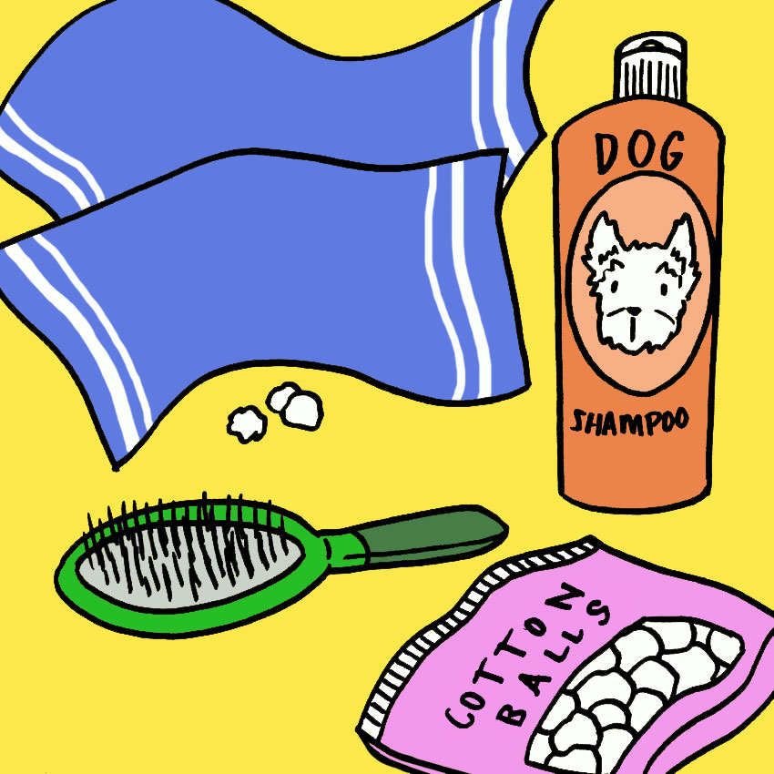 how-often-should-you-bathe-your-dog-1.jpg