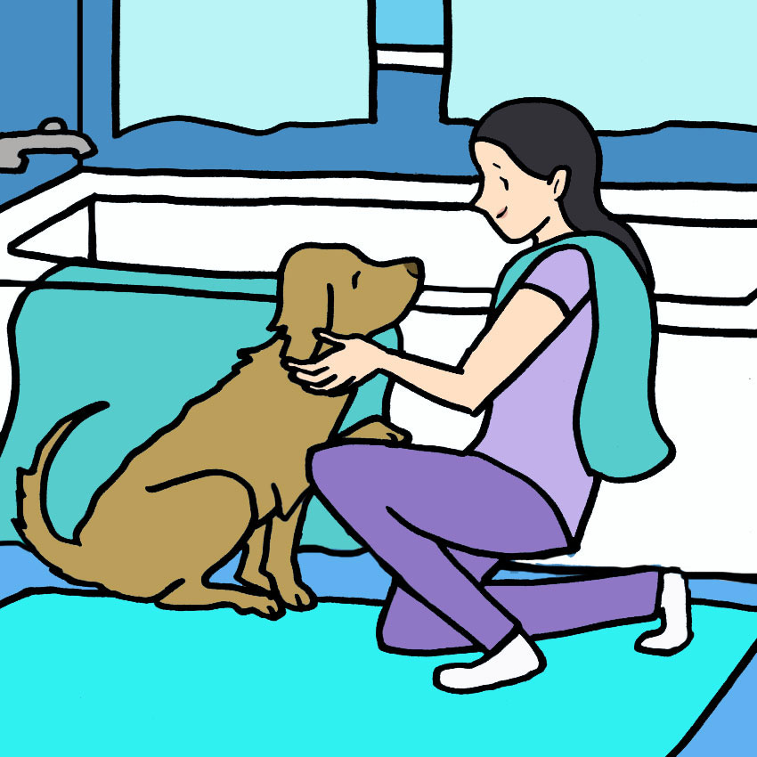 how-often-should-you-bathe-your-dog-2.jpg