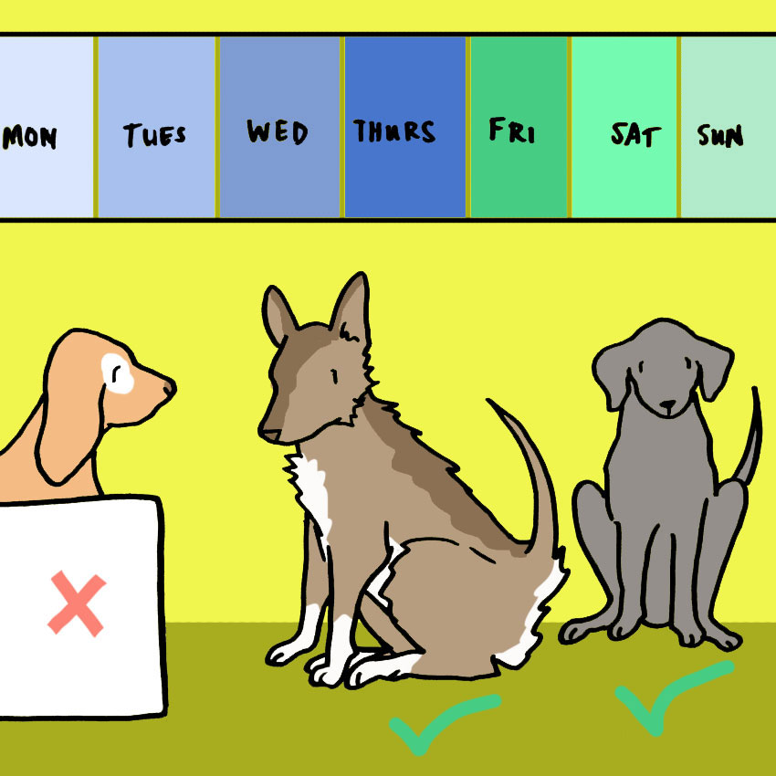 how-often-should-you-bathe-your-dog-5.jpg