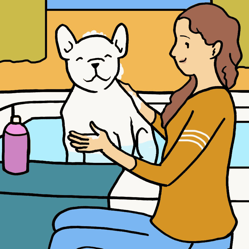 how-often-should-you-bathe-your-dog-8.jpg