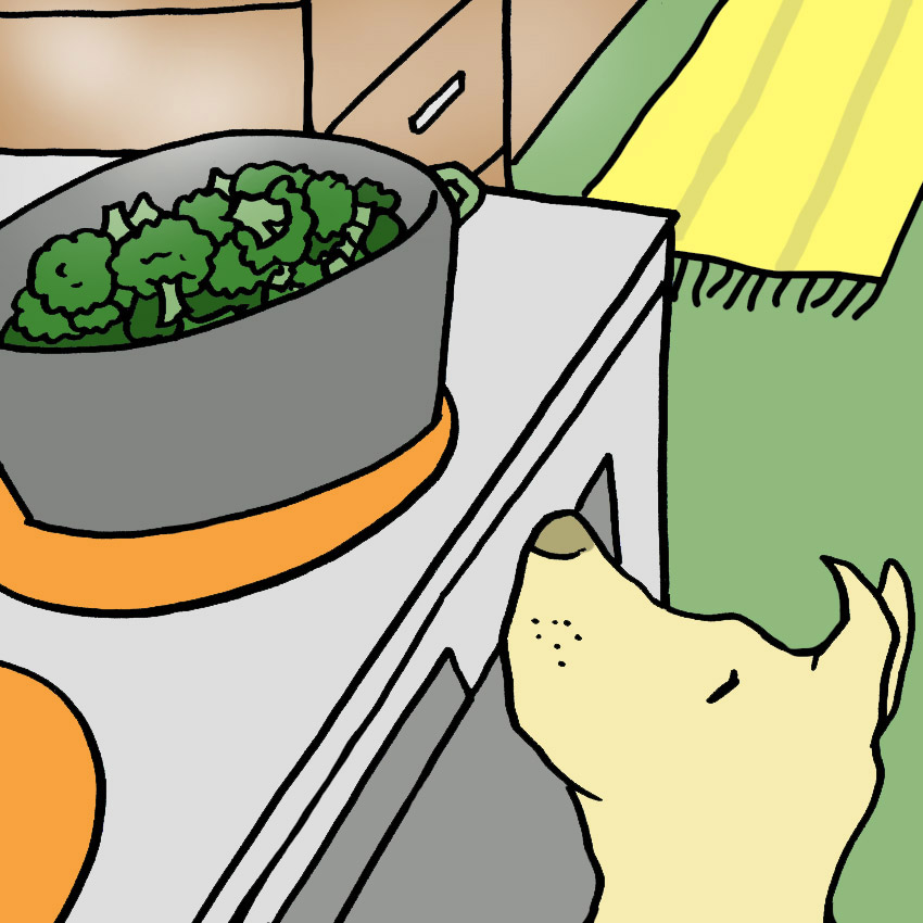 how-to-cook-broccoli-for-dogs.jpg
