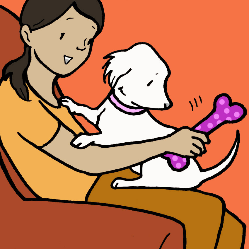 how-to-make-dogs-stop-licking-1.jpg