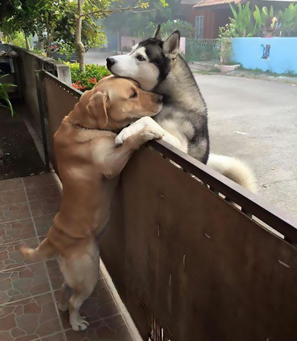 hug-1-1.jpg