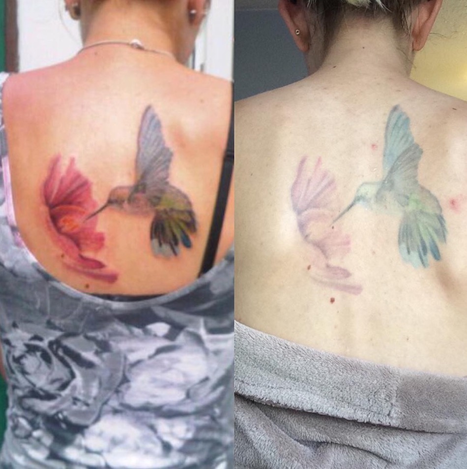 hummingbird.jpg