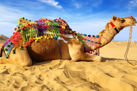humpday.jpg humpday.jpg