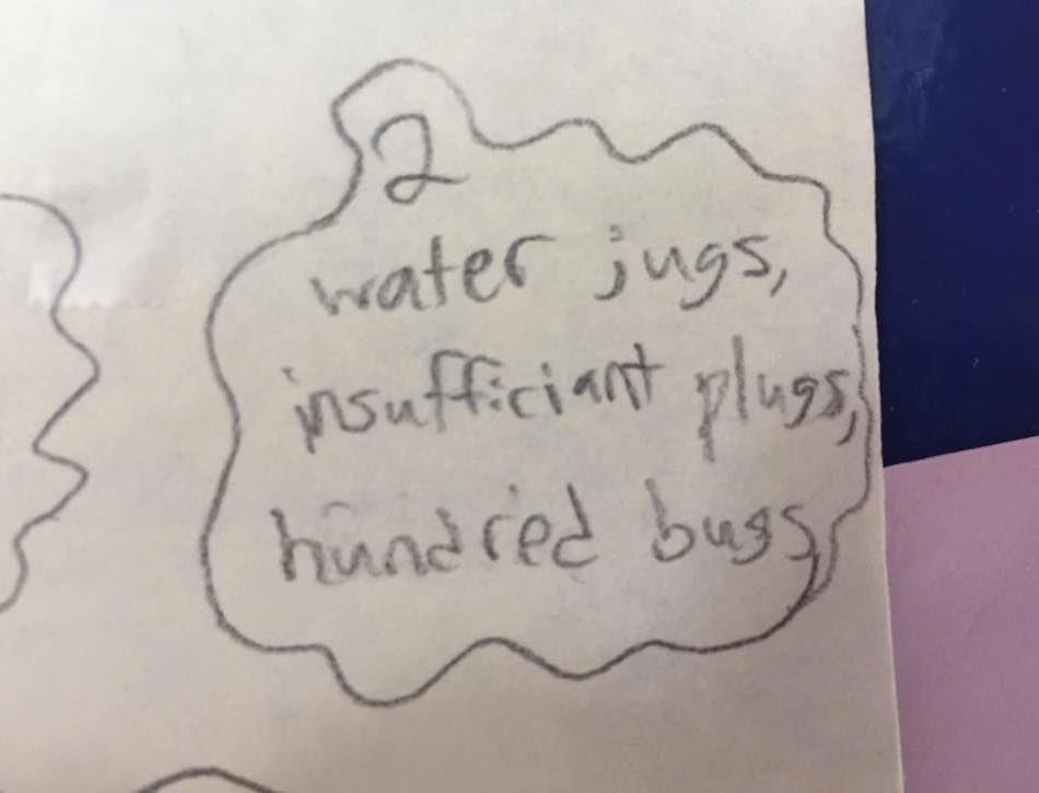 hundred-bugs.jpg