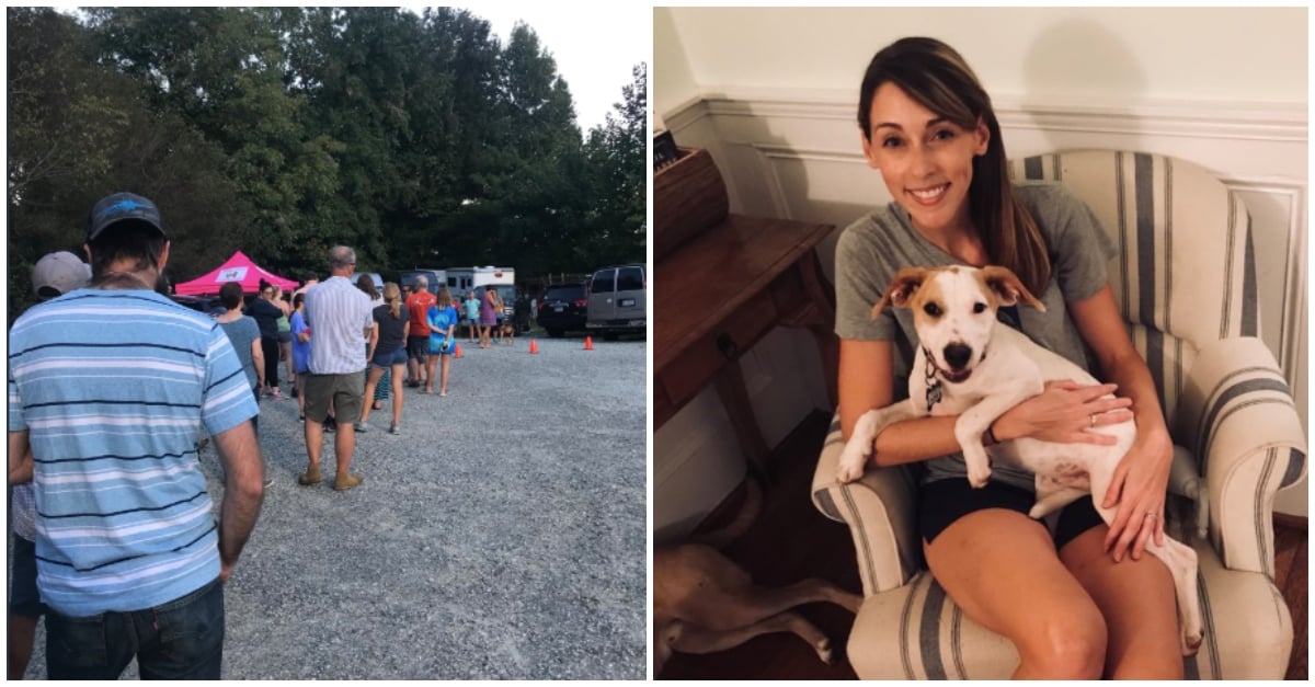 hurricane florence shelter dogs